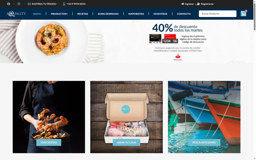 Captura del sitio web de Aquality Soluciones